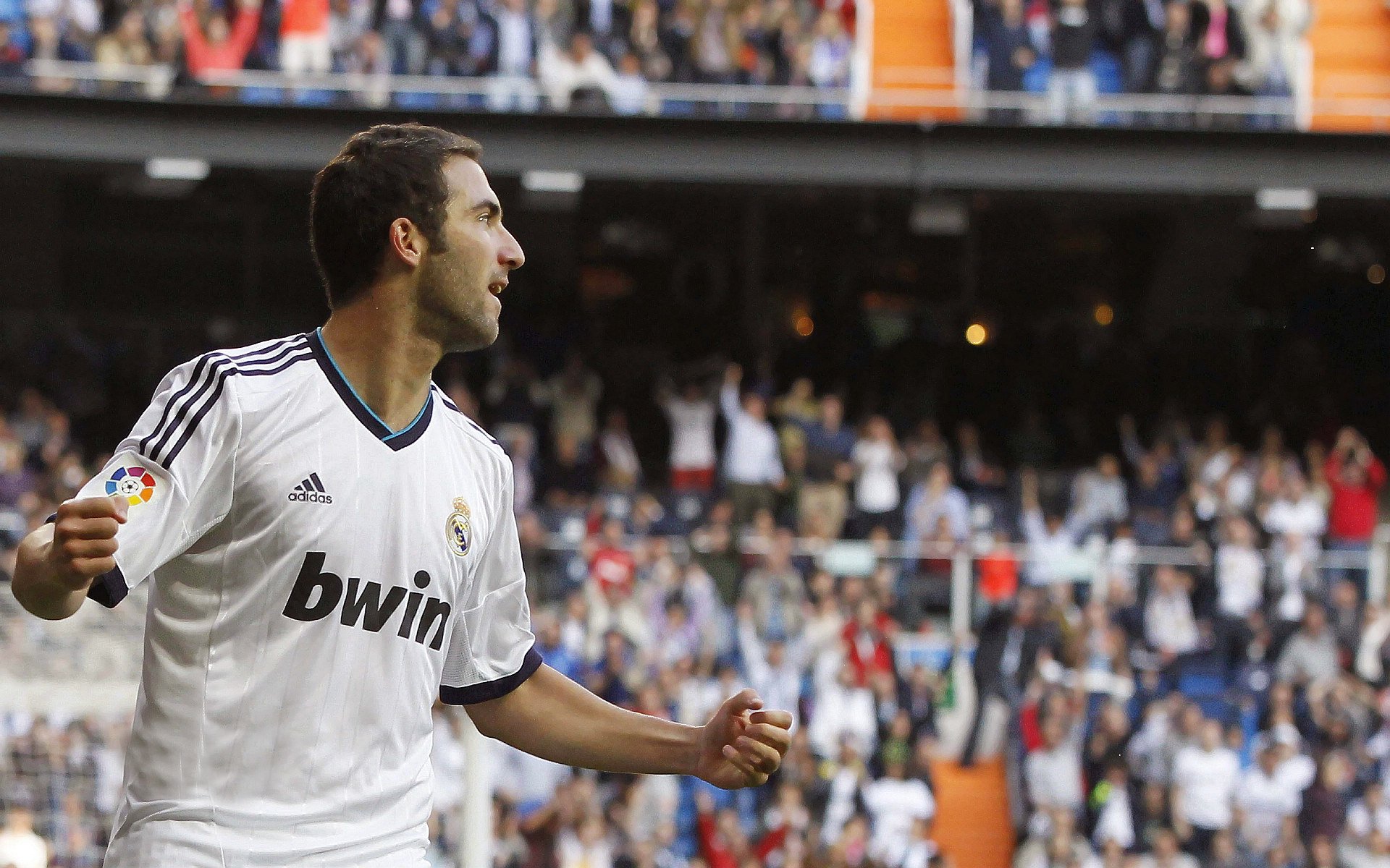 球队近期比赛胜率及趋势报告，球队近期比赛胜率及趋势报告英文